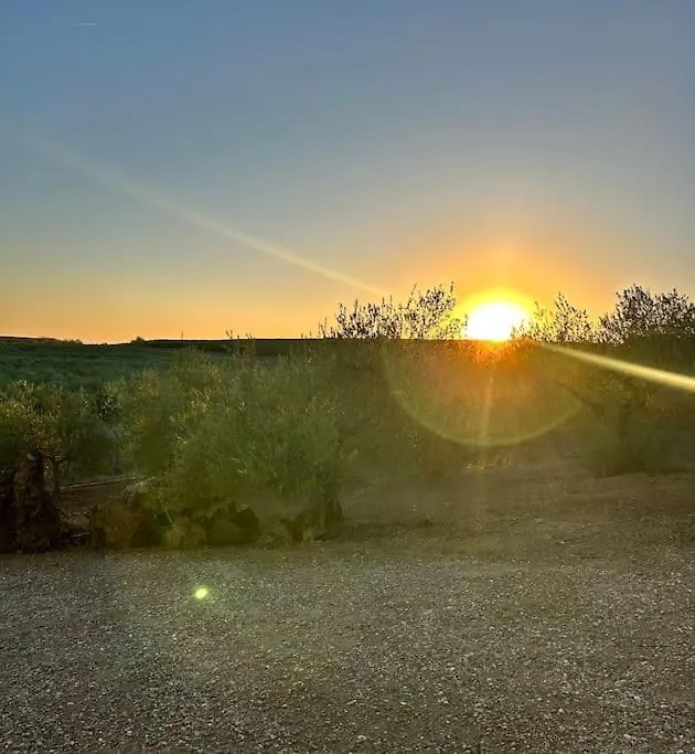 بيت للعطل Casa Caraza. Un Olivar Con Vistas Al Castillo De Juego De Tronos Almodóvar del Río