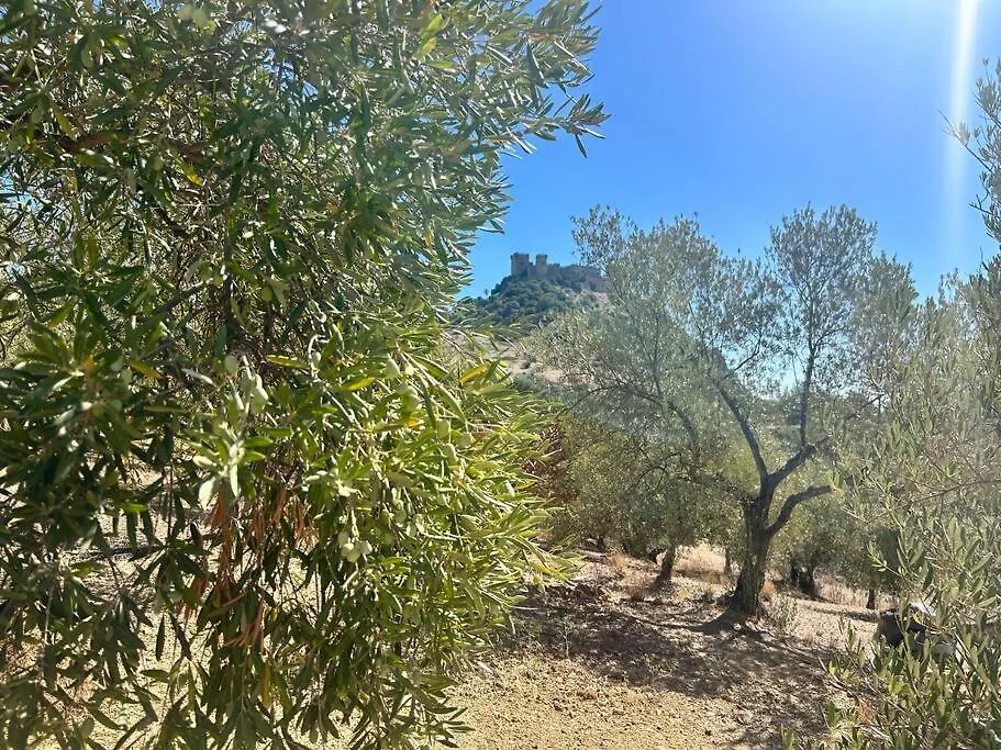 بيت للعطل Casa Caraza. Un Olivar Con Vistas Al Castillo De Juego De Tronos Almodóvar del Río